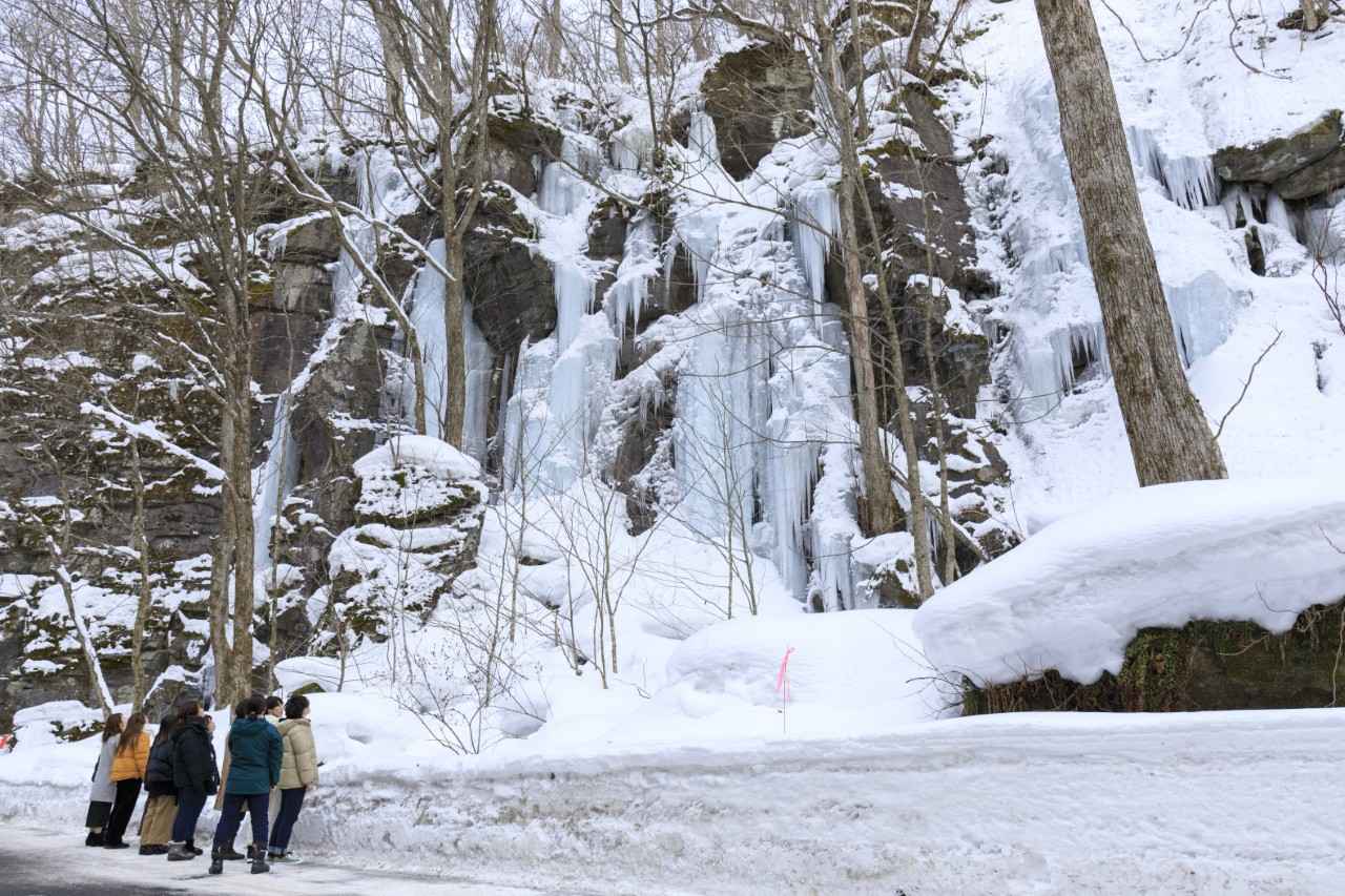 画像1: 提供:十和田奥入瀬観光機構
