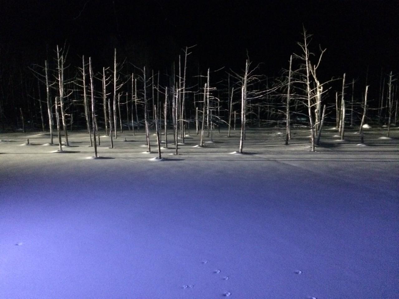 画像2: 幻想的なブルーに包まれる、冬の美瑛の絶景スポット