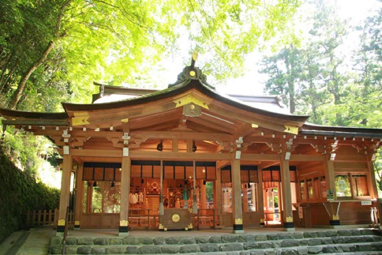 画像: 病気平癒や疫病退散も。関西の神社仏閣&パワースポットを鏡リュウジがご案内