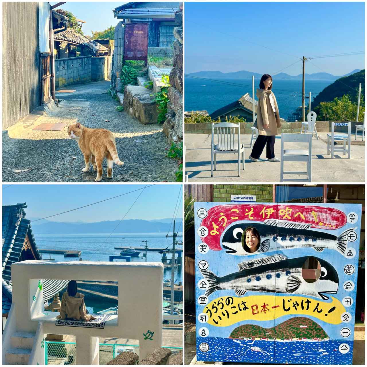 画像: #迷路のような島歩き〔伊吹島(いぶきじま)〕