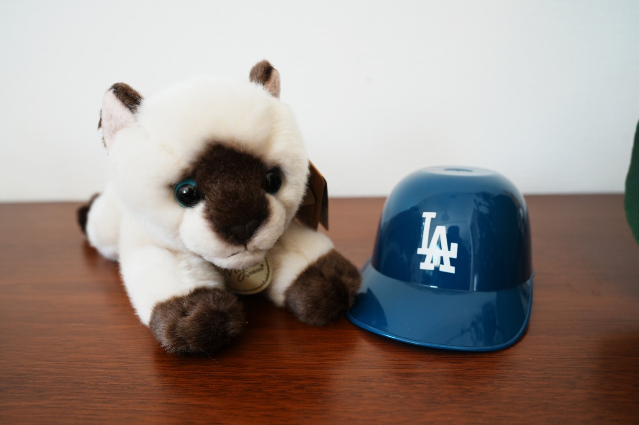 画像: 旅行中に観戦したロサンゼルス・ドジャースのミニヘルメットは球場グルメで、アイスクリームが入っていたもの。ジャストサイズだったので被せて飾ってます!