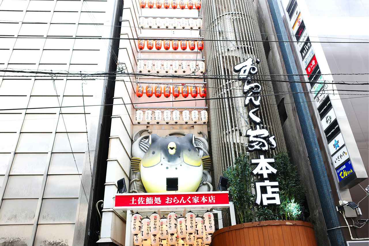 画像1: 提灯揺れる高知「おらんく家」で本場の鰹を食べ尽くす