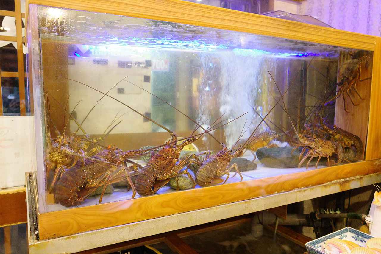 画像2: 活貝料理専門店で味わう、至福の海賊焼と貝めし体験「満潮」