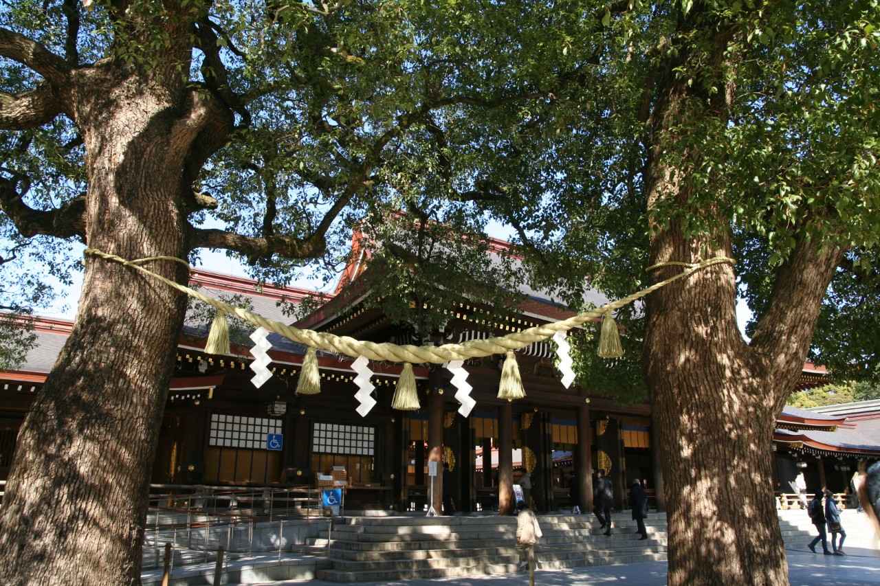 画像2: 初詣者数日本一！良縁を願う都心のオアシス