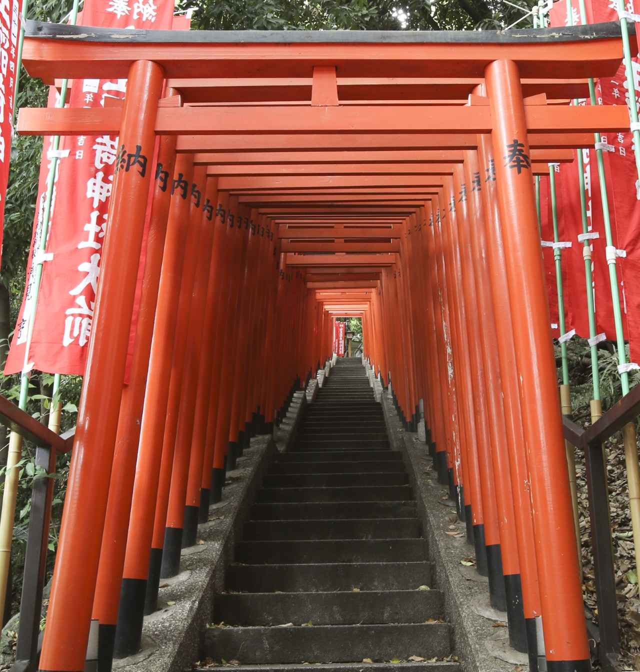 画像2: 【2026】東京の初詣におすすめの神社&お寺13選。屋台や穴場情報も！