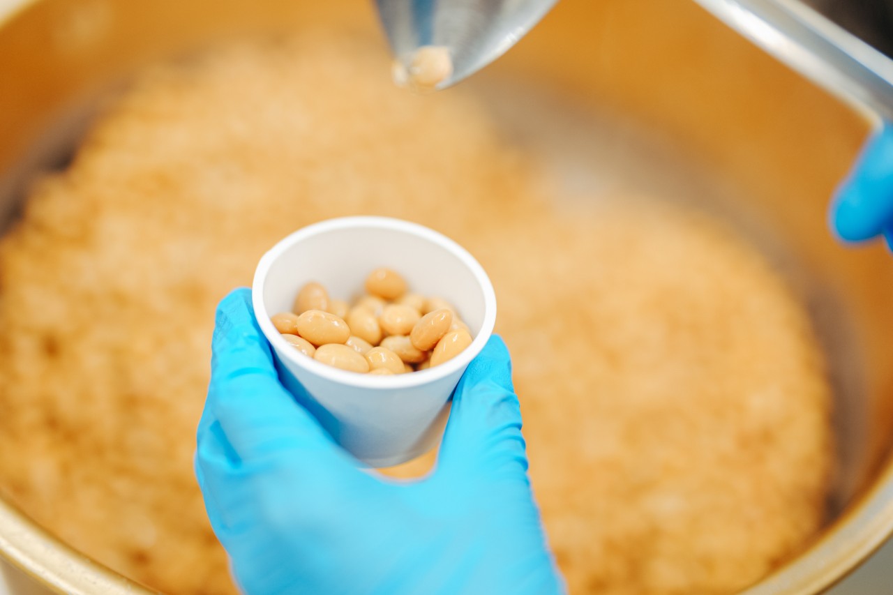 画像4: 佐渡の穀物で作られる、とある発酵食品に注目！