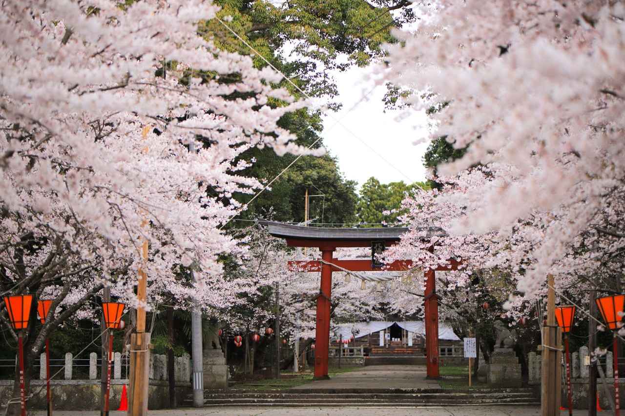 画像10: 佐渡の春祭り「鬼太鼓」、その意外な設定は？