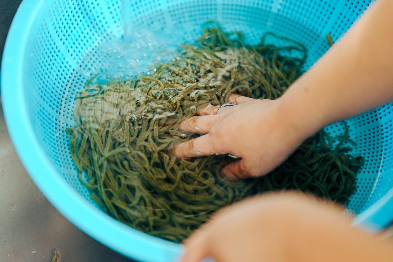 画像4: 佐渡の特産物である、ナガモの特徴は？