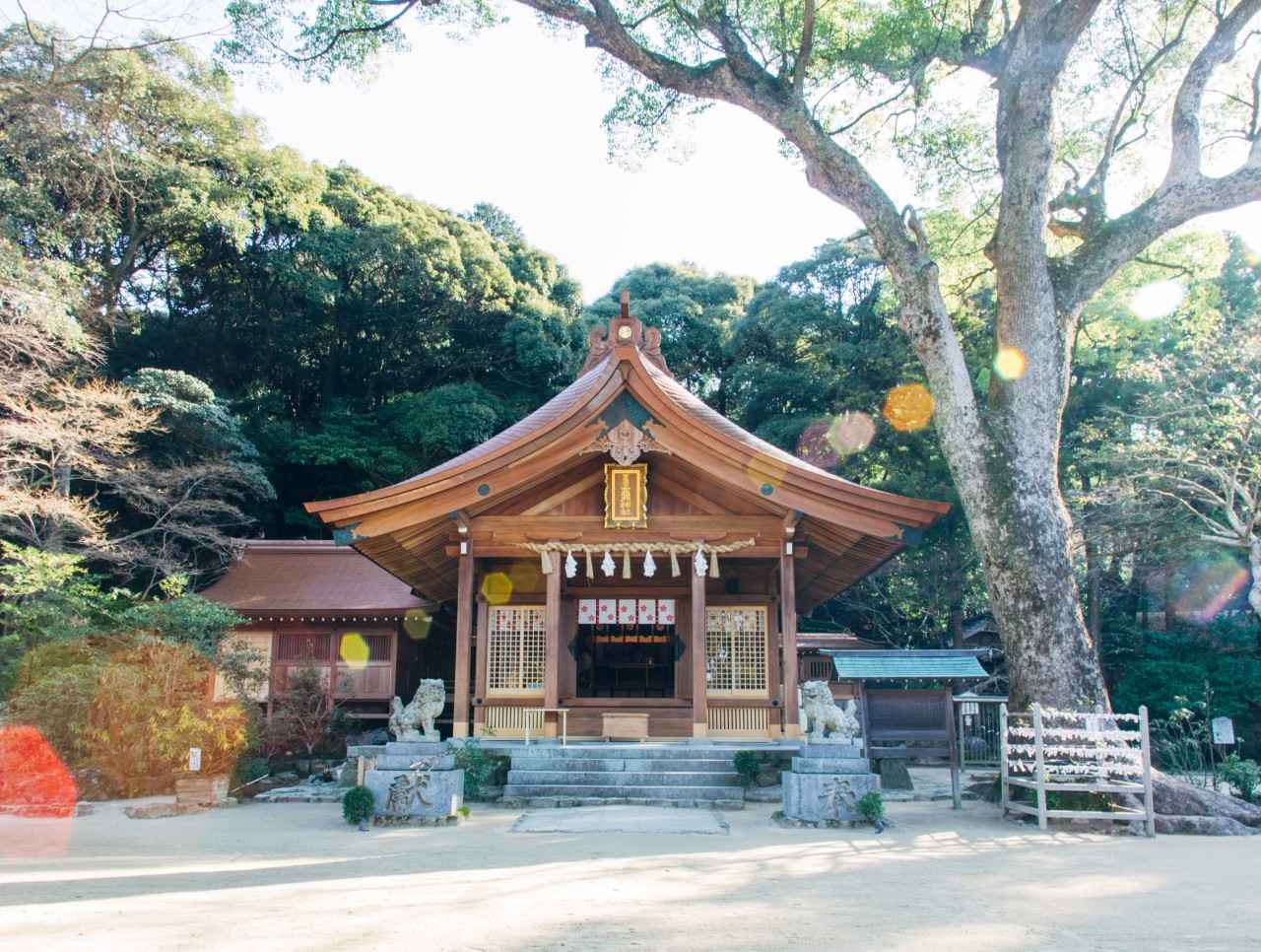 画像: “結び”で導く太宰府のパワースポット「宝満宮 竈門神社」【福岡県】