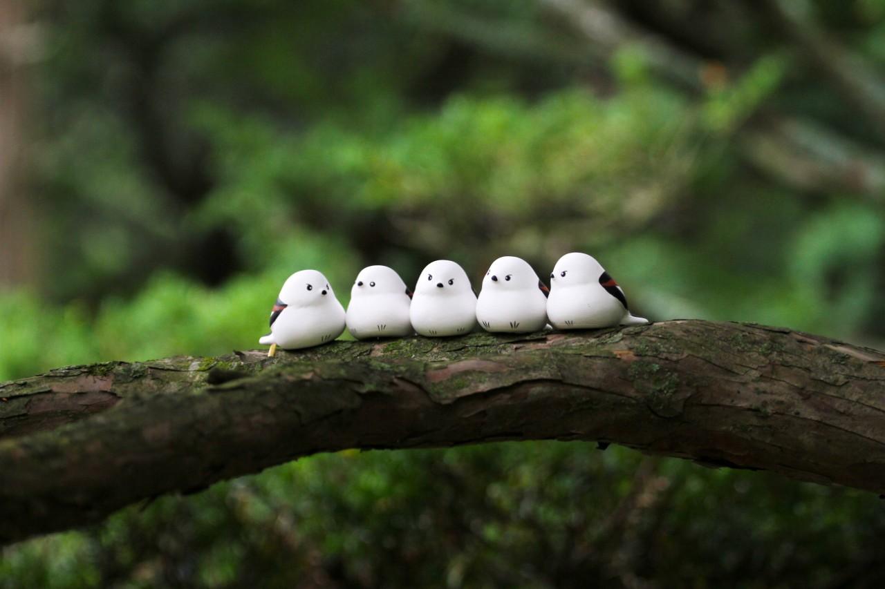 画像: シマエナガみくじ500円