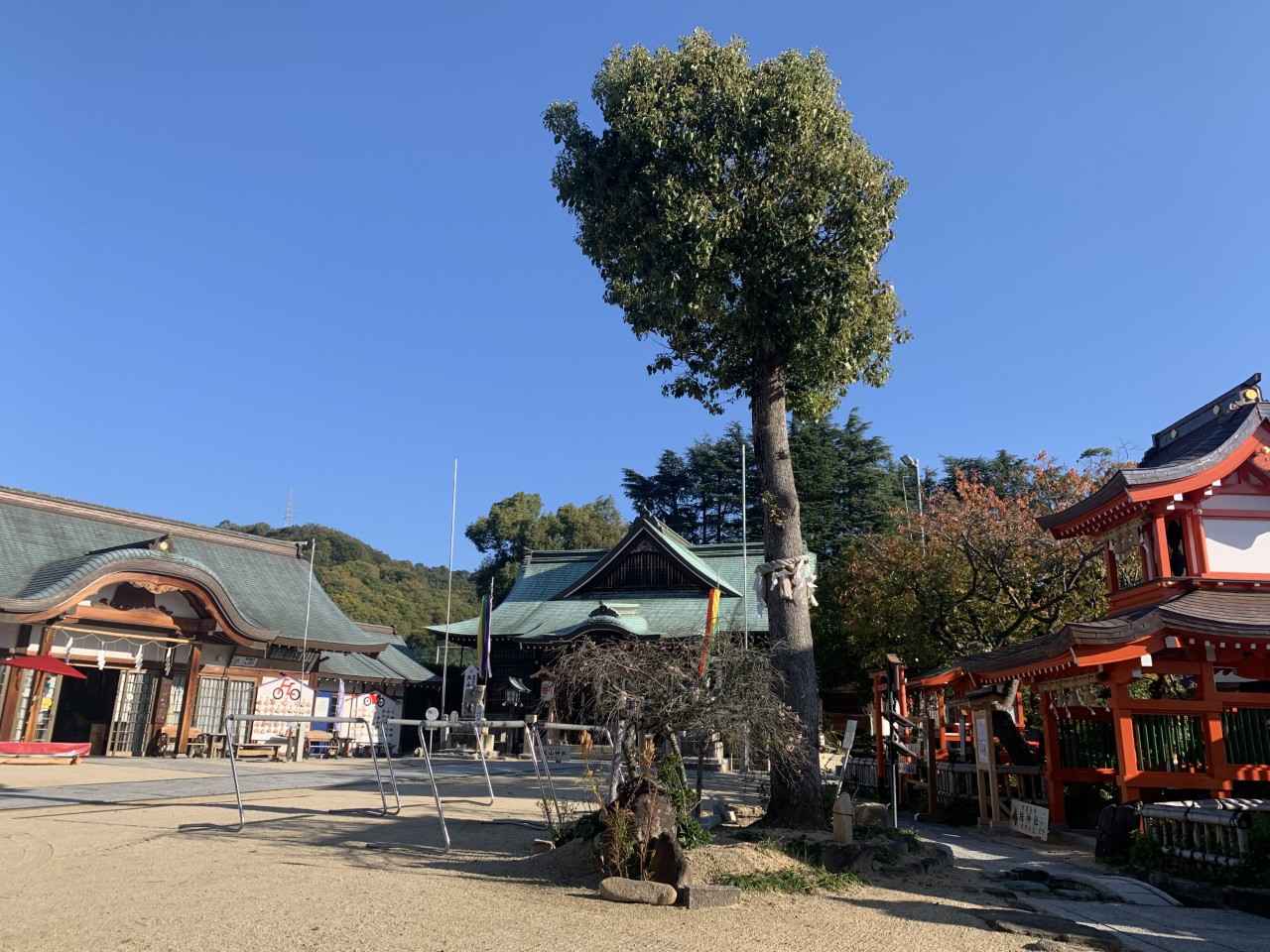 画像: 推しの“犬猫”と願う、やさしいお守り「大山神社」【広島県】