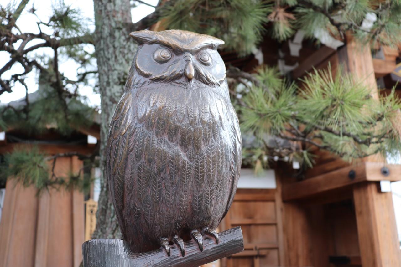 画像: 撫でみみづく