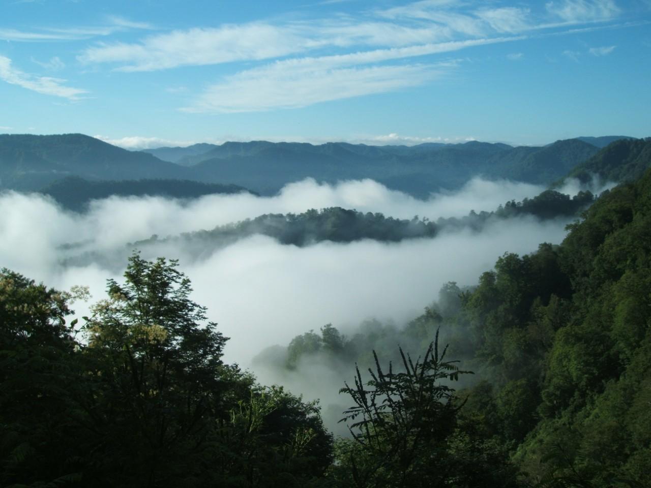 画像3: 手つかずの大自然が息づく「白神山地」【青森県／秋田県】
