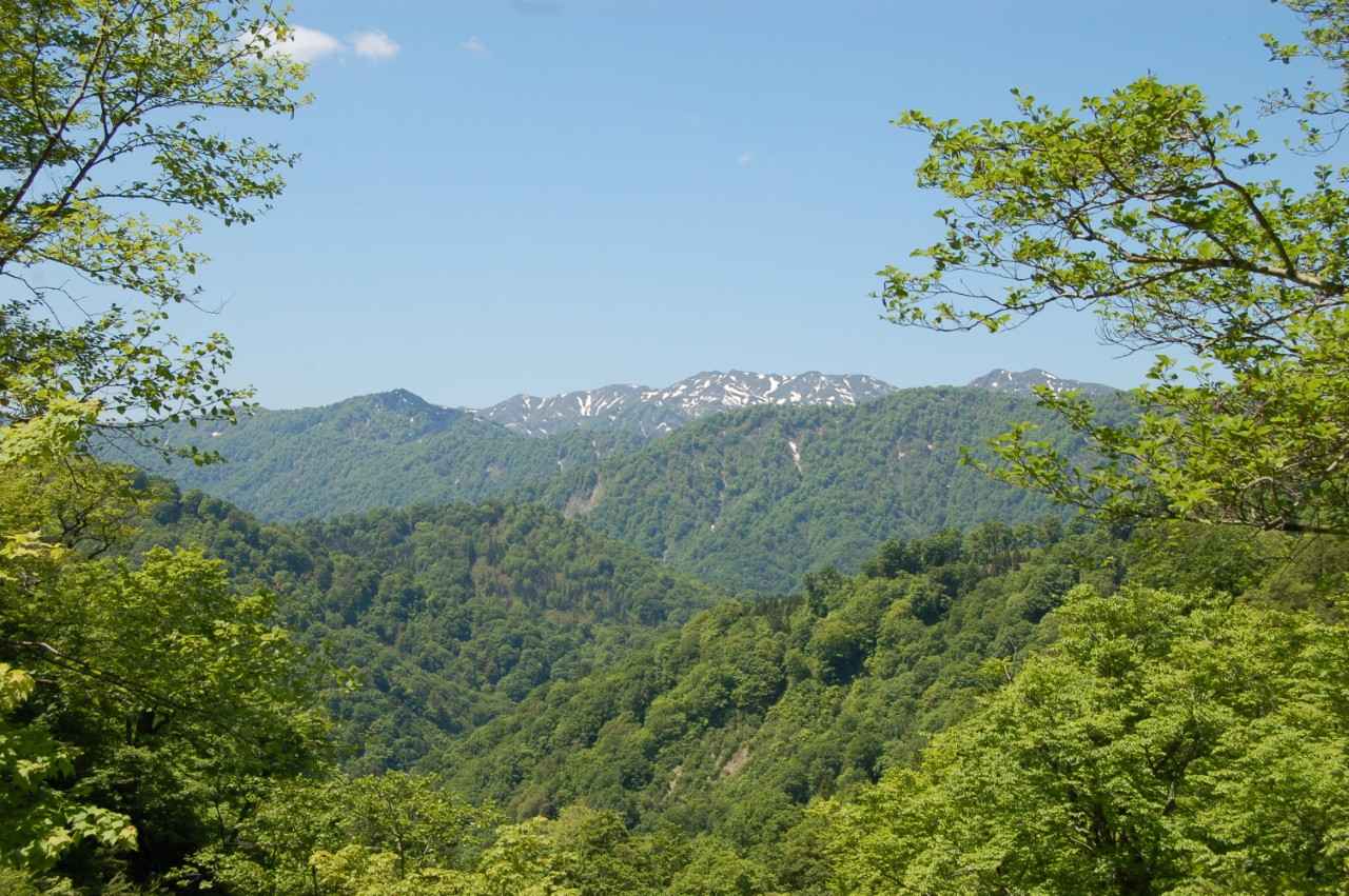 画像1: 手つかずの大自然が息づく「白神山地」【青森県／秋田県】