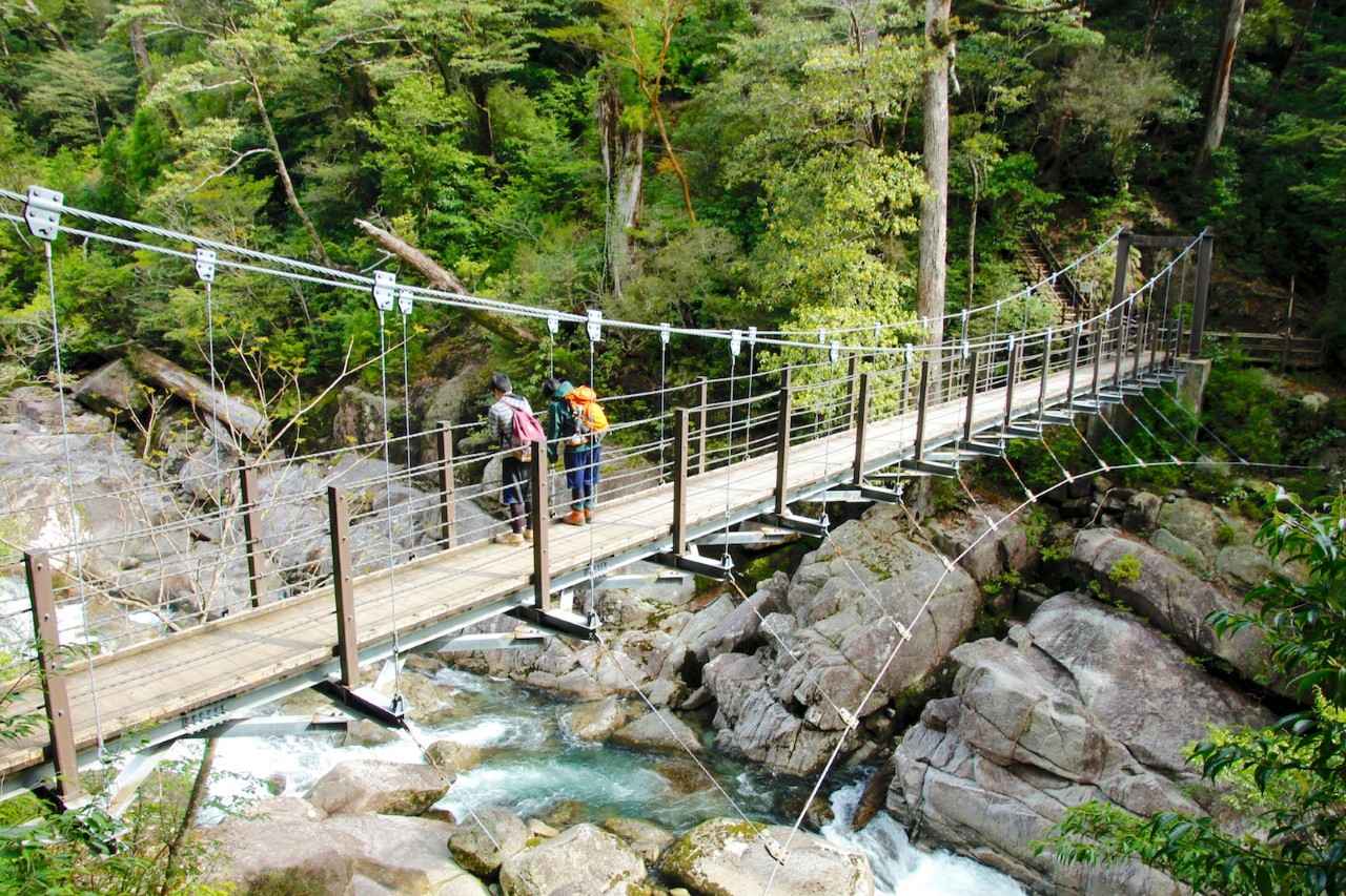 画像1: 提供：一般社団法人 屋久島観光協会