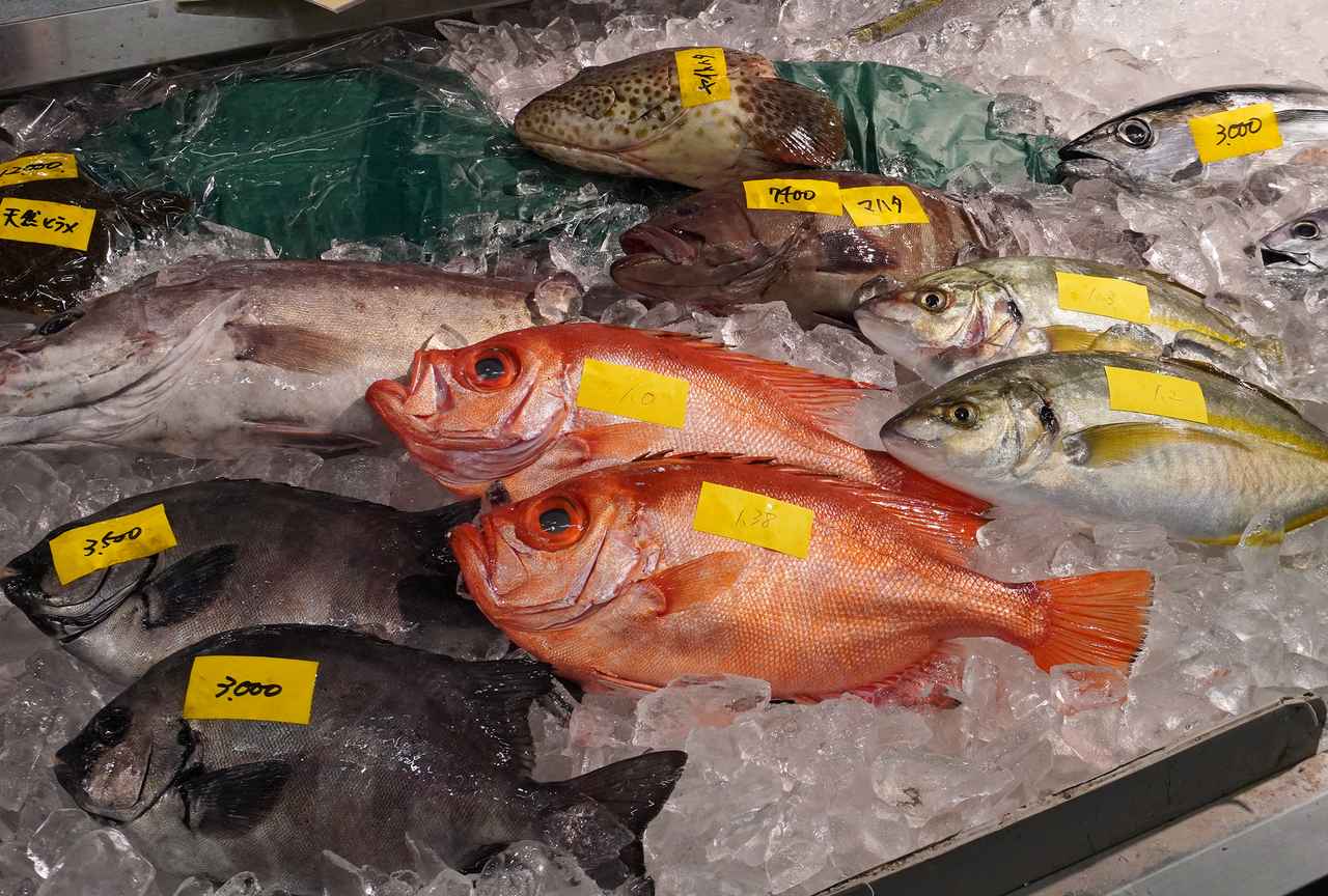 画像2: 食の旅人・植野、南紀白浜の旅へ。夕陽が美しい海辺の名酒場で名物の「うつぼ」を堪能する。