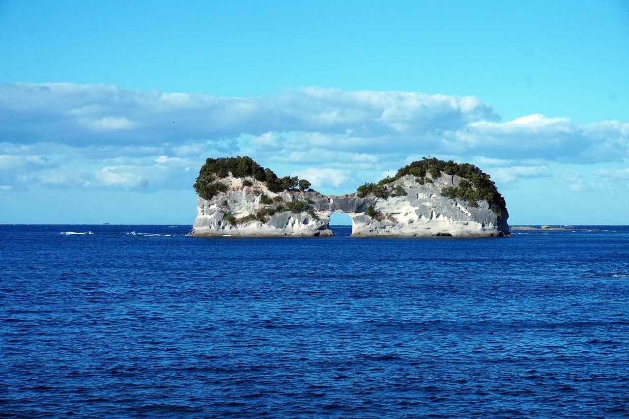 画像8: 食の旅人・植野、南紀白浜の旅へ。夕陽が美しい海辺の名酒場で名物の「うつぼ」を堪能する。