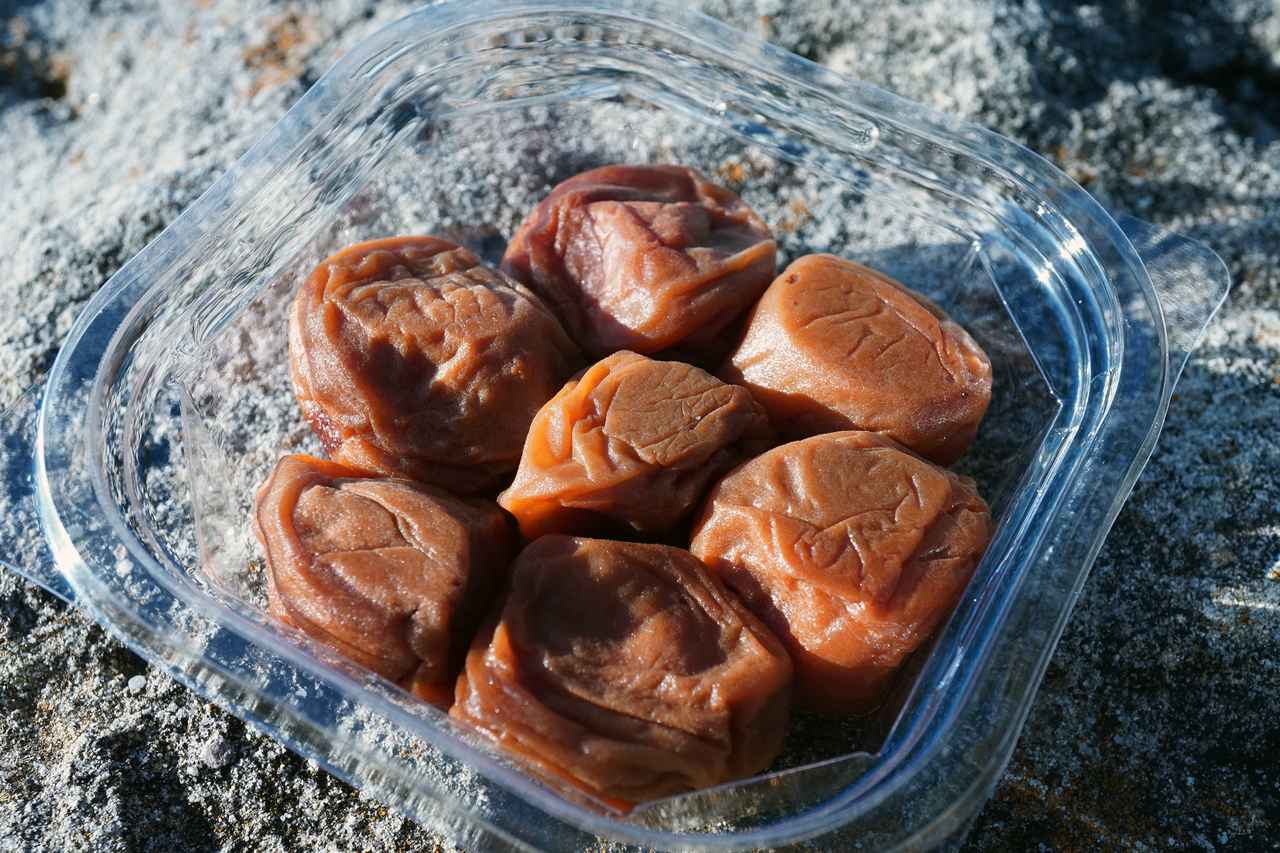 画像5: 食の旅人・植野、南紀白浜の旅へ。夕陽が美しい海辺の名酒場で名物の「うつぼ」を堪能する。