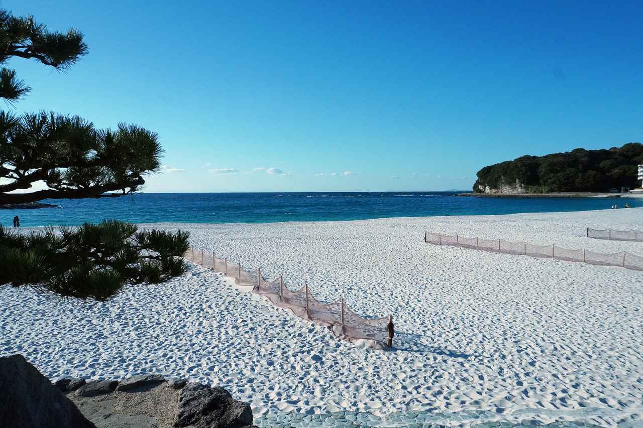 画像7: 食の旅人・植野、南紀白浜の旅へ。夕陽が美しい海辺の名酒場で名物の「うつぼ」を堪能する。