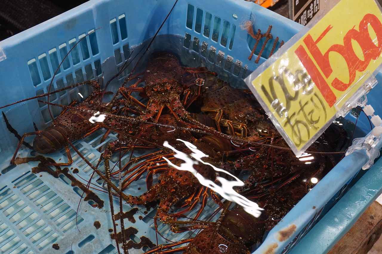 画像3: 食の旅人・植野、南紀白浜の旅へ。夕陽が美しい海辺の名酒場で名物の「うつぼ」を堪能する。