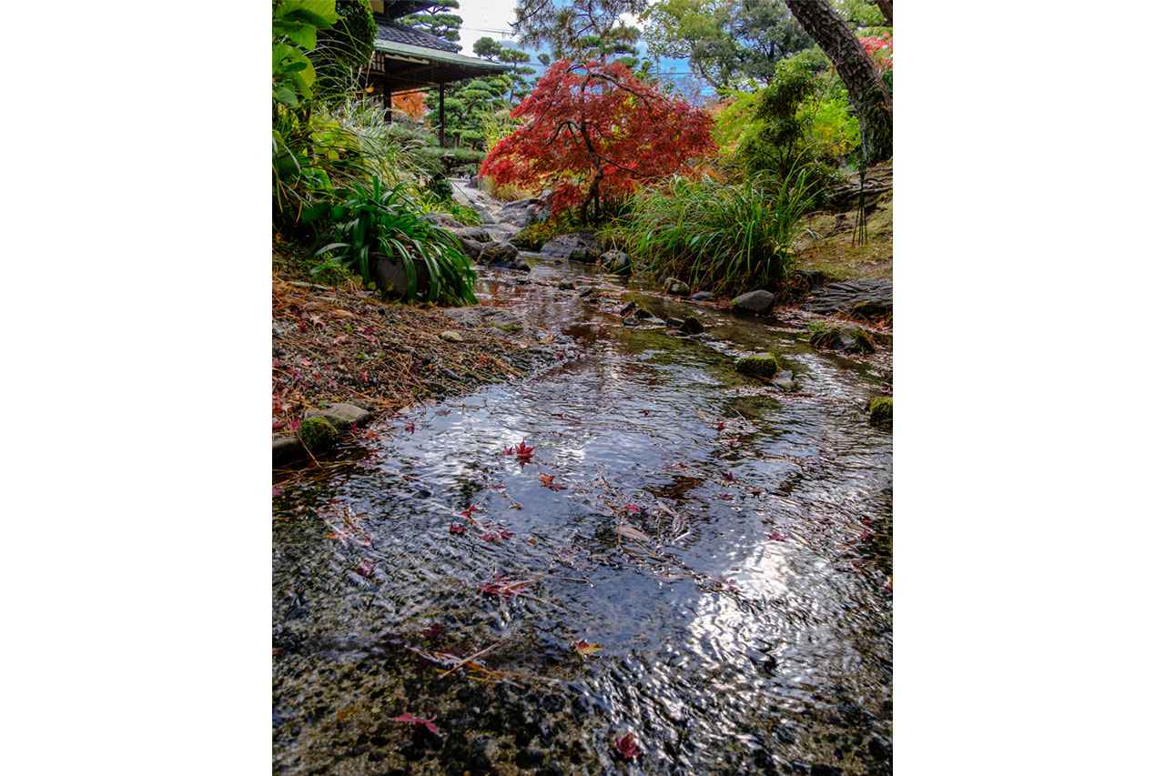 画像: 池を中心に据え、歩きながら景色が移ろう構成。鑑賞と回遊両方が楽しめる