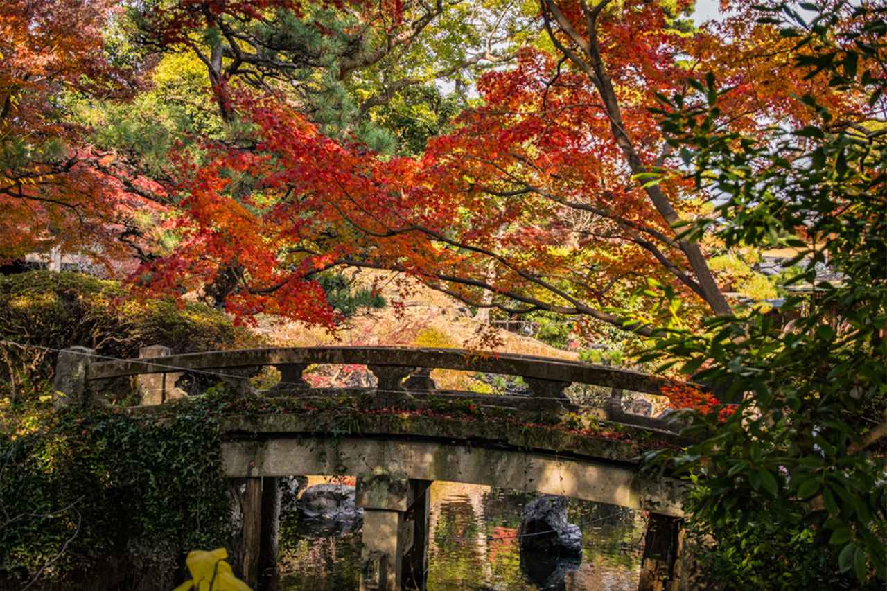 画像: 三つの茶室を巡りながら、四季の移ろいを楽しめる庭散策ができる