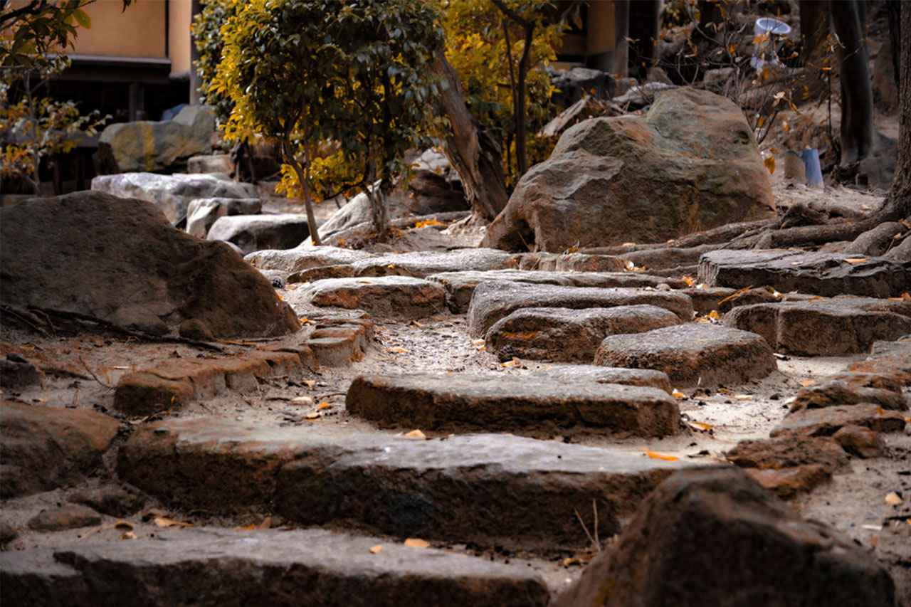 画像: 大小さまざまな石が要所に据えられ、歩くほどに表情を変えながら茶室へと導かれる