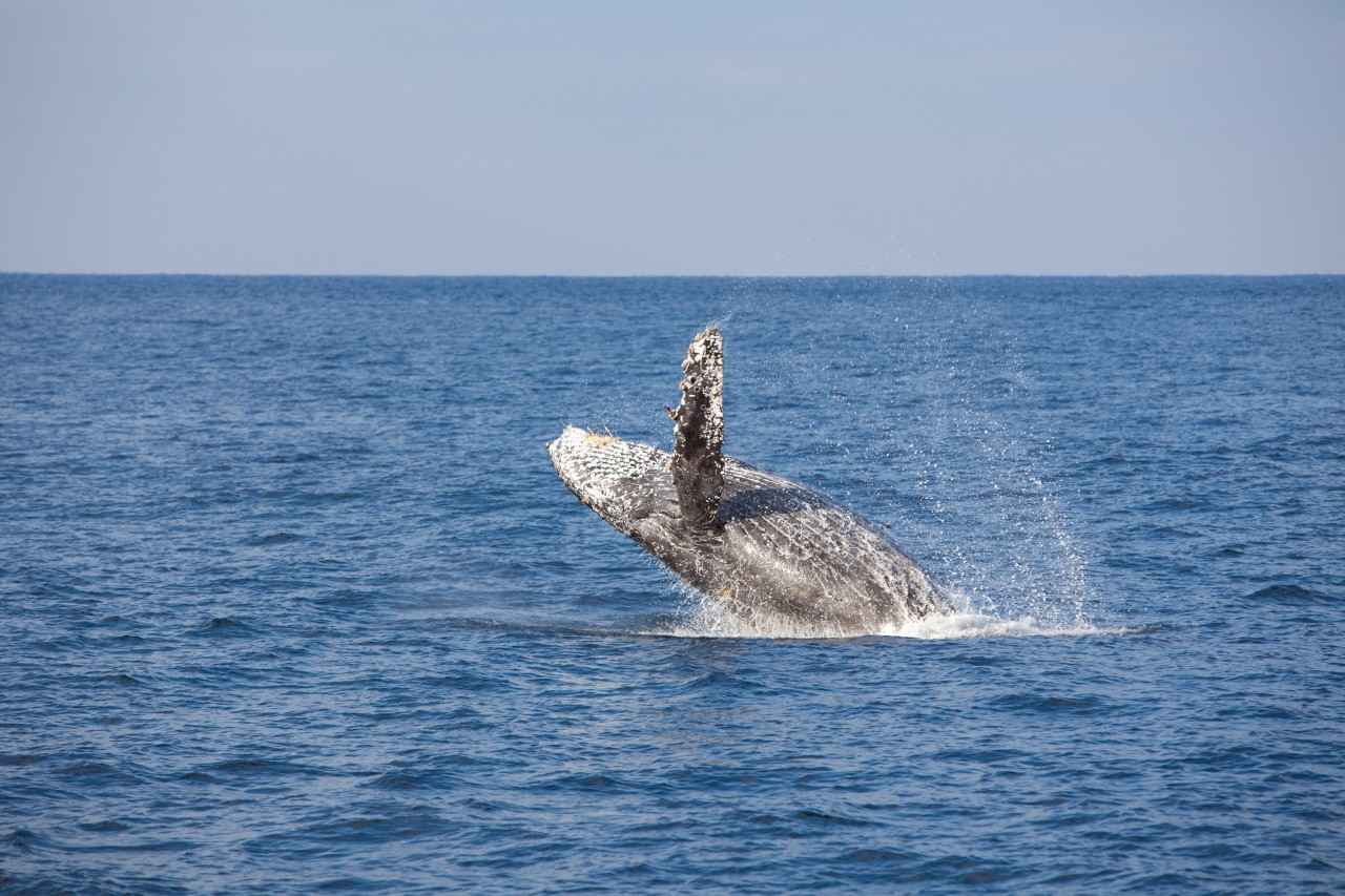 画像: iStock/clumpner