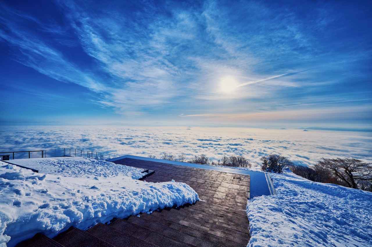 画像2: © Alpina BI Co., Ltd. All Rights Reserved.