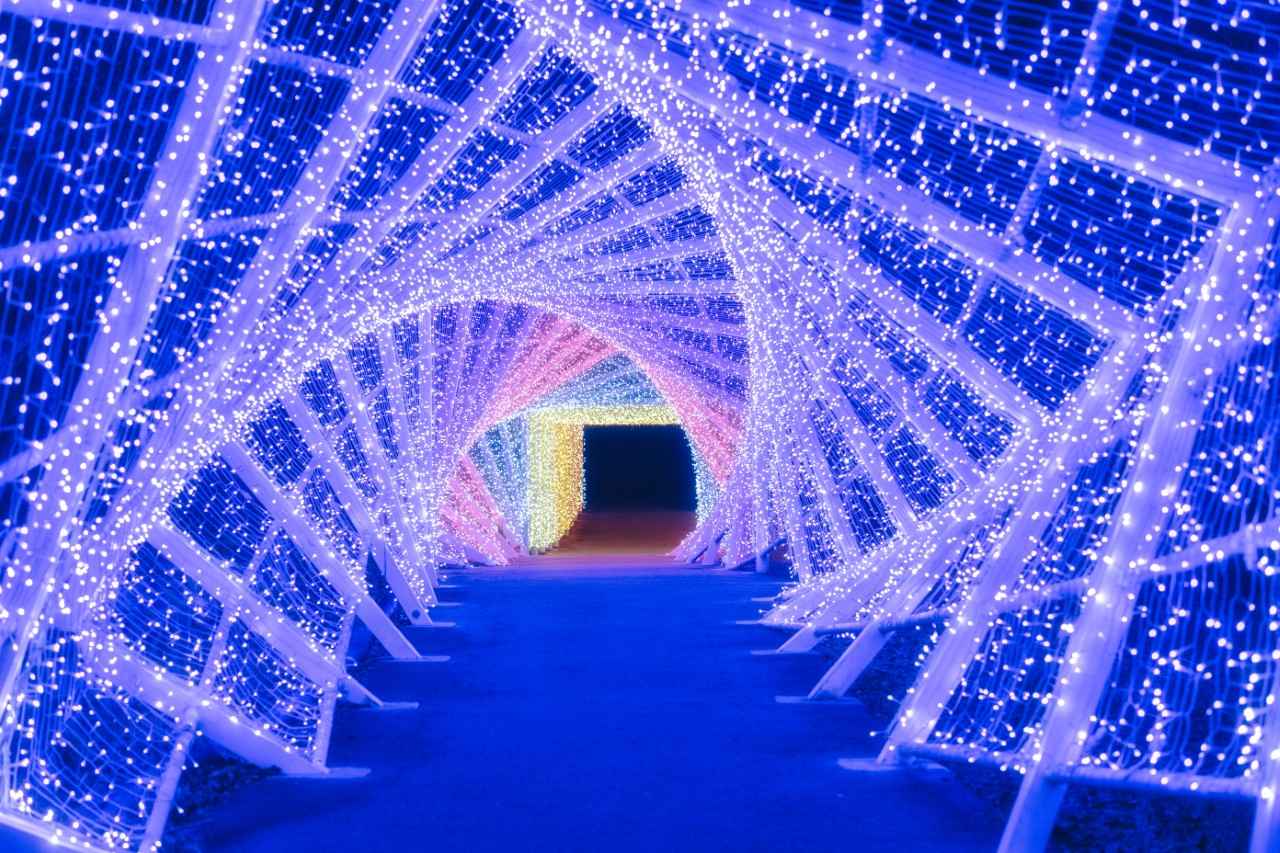 画像: 関西近郊のイルミネーションおすすめ10選！冬デートや夜散歩にも