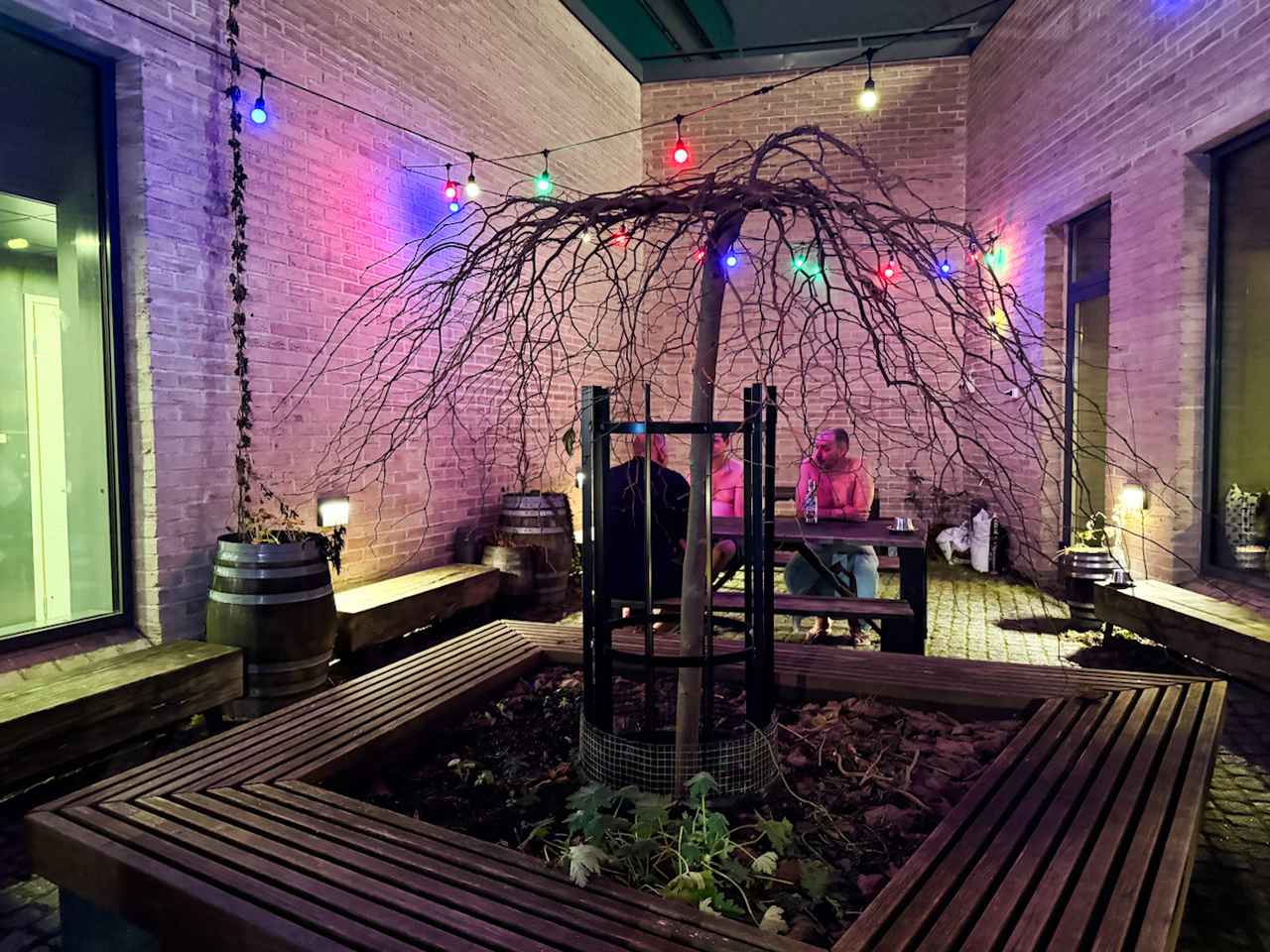 画像2: 「Uusi Sauna」で地元住民になった気分でサウナ体験