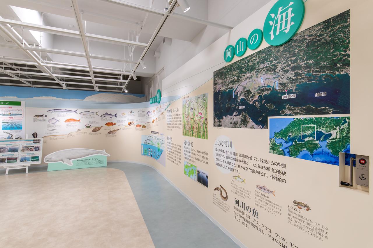 画像: 瀬戸内海を知る〜おさかな学習室〜