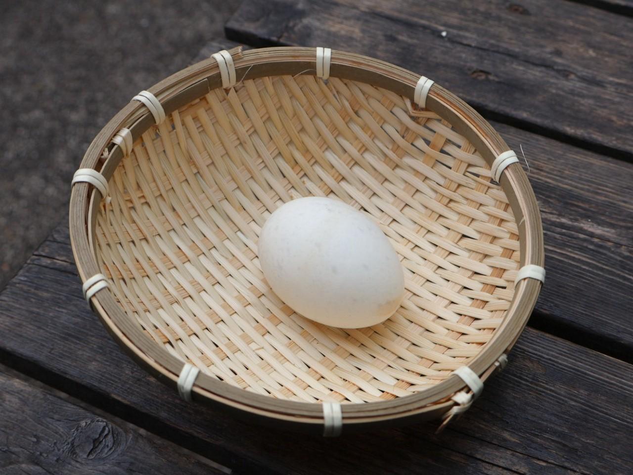 画像12: 別府温泉でおすすめの食べ歩き11選！地獄めぐりと楽しめるグルメ＆スイーツをレポート！