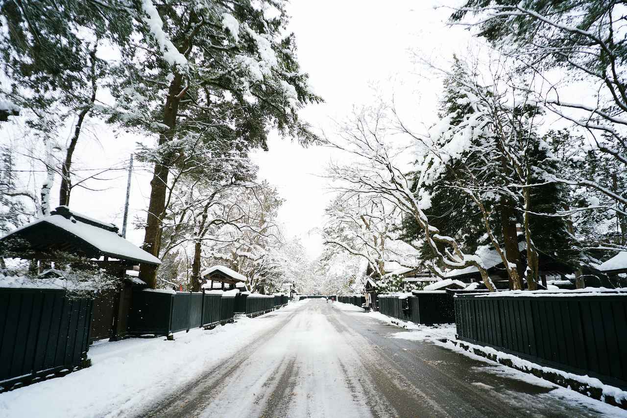 画像: 冬だからこそ、楽しめる。1泊2日でめぐる秋田県・仙北市の旅