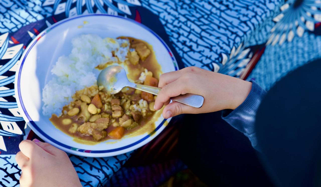画像6: 2日目｜イノシシと畑から学ぶ、命と循環の仕組み