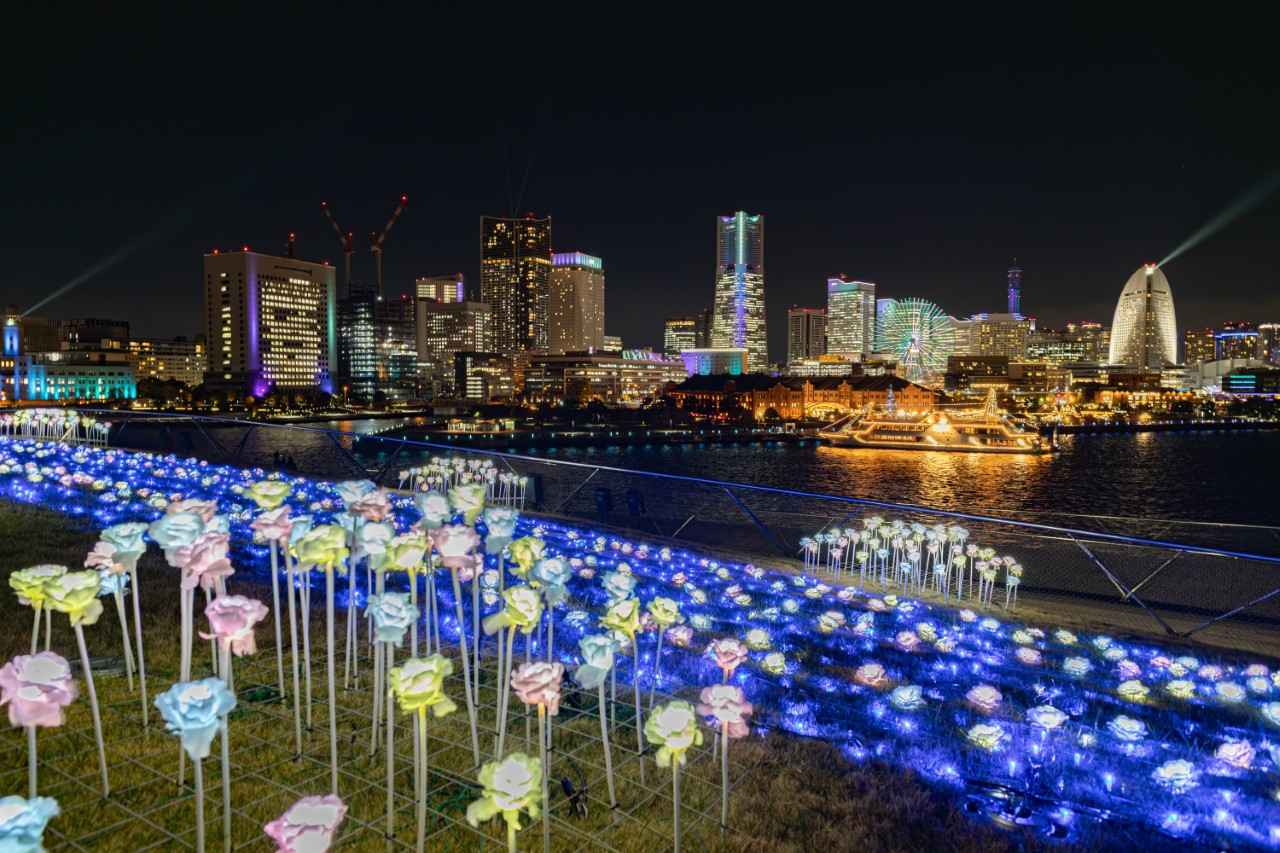 画像: 横浜港フォトジェニックイルミネーション2025の様子