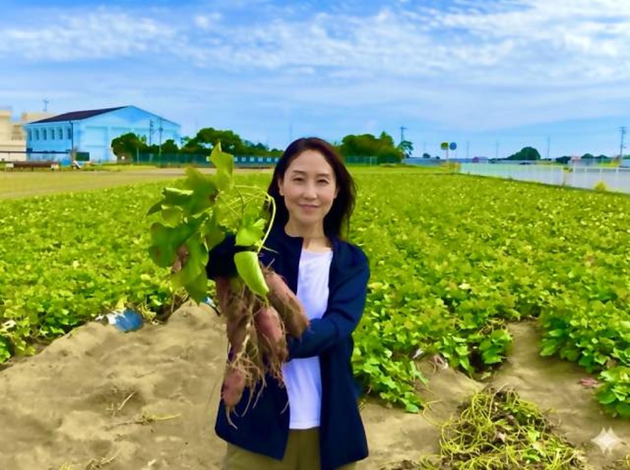 画像: 徳島県JALふるさとアンバサダーおすすめ、なると金時「里むすめ」の魅力