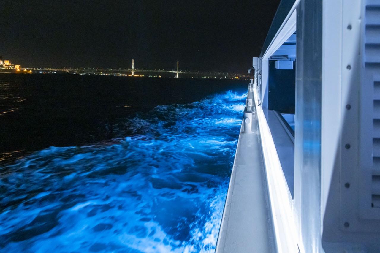 画像2: 提供：ワイクルーズ株式会社