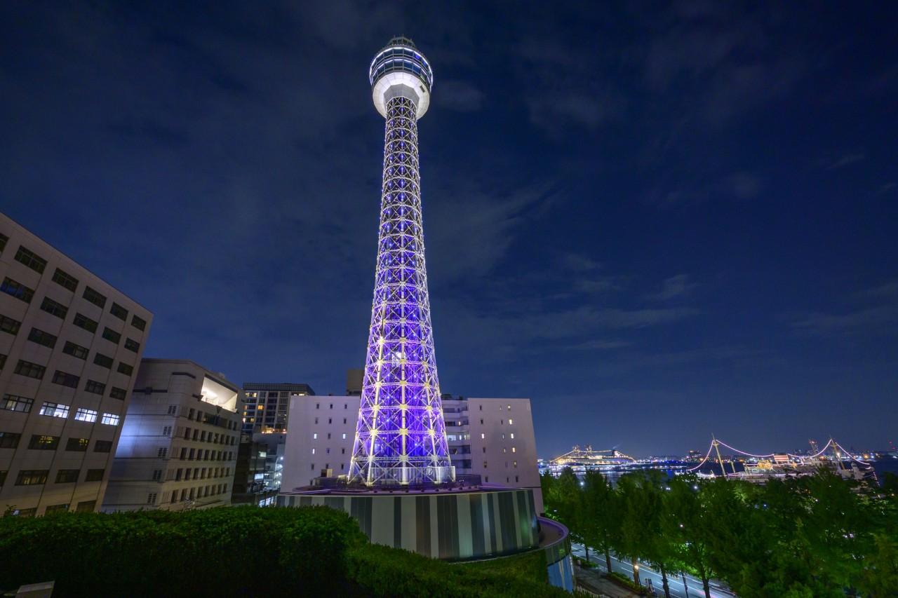 画像1: 「横浜マリンタワー」 360度の夜景に、光のアートが溶け込む