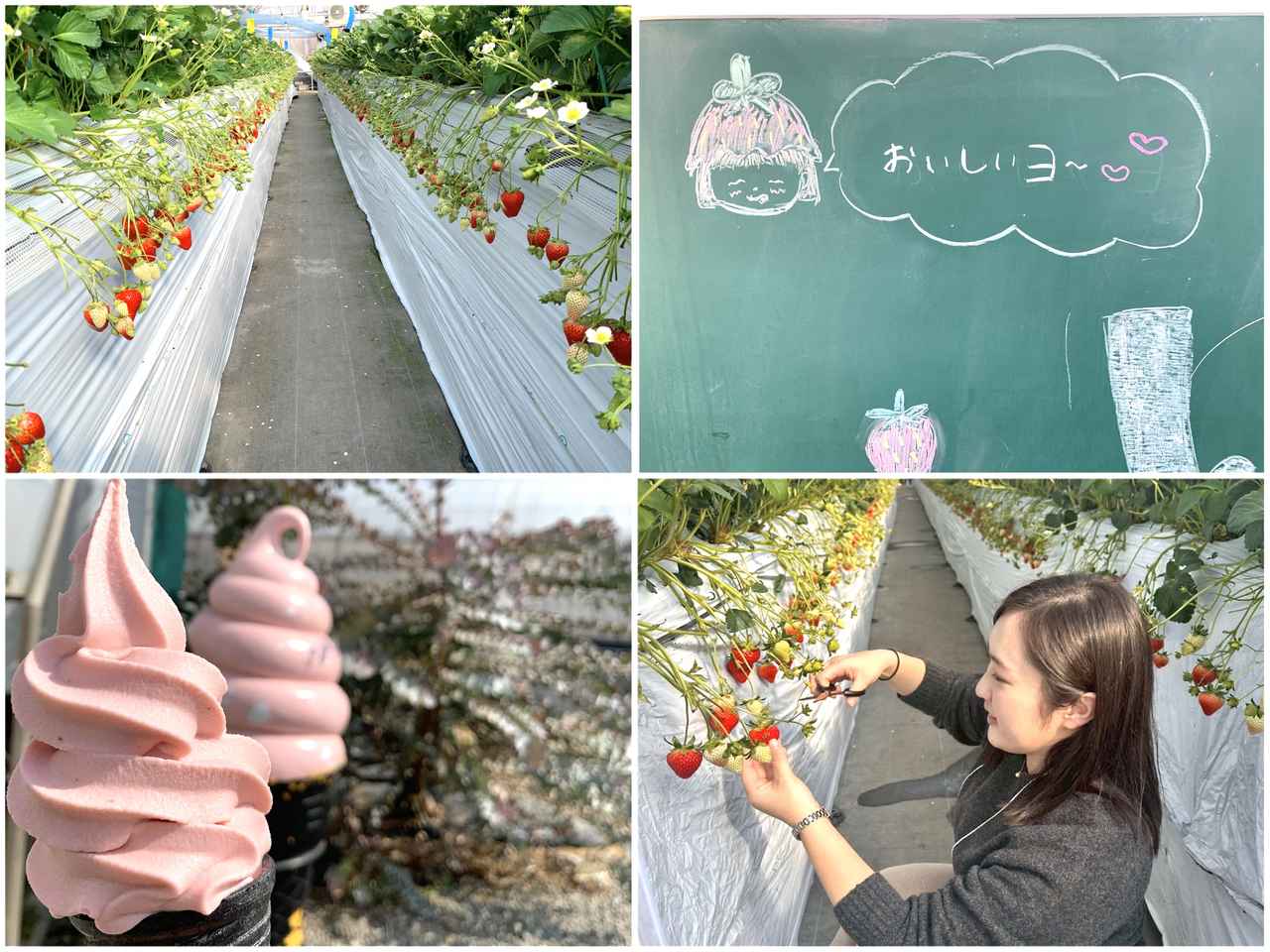 画像2: #大分県No.1のいちご狩り