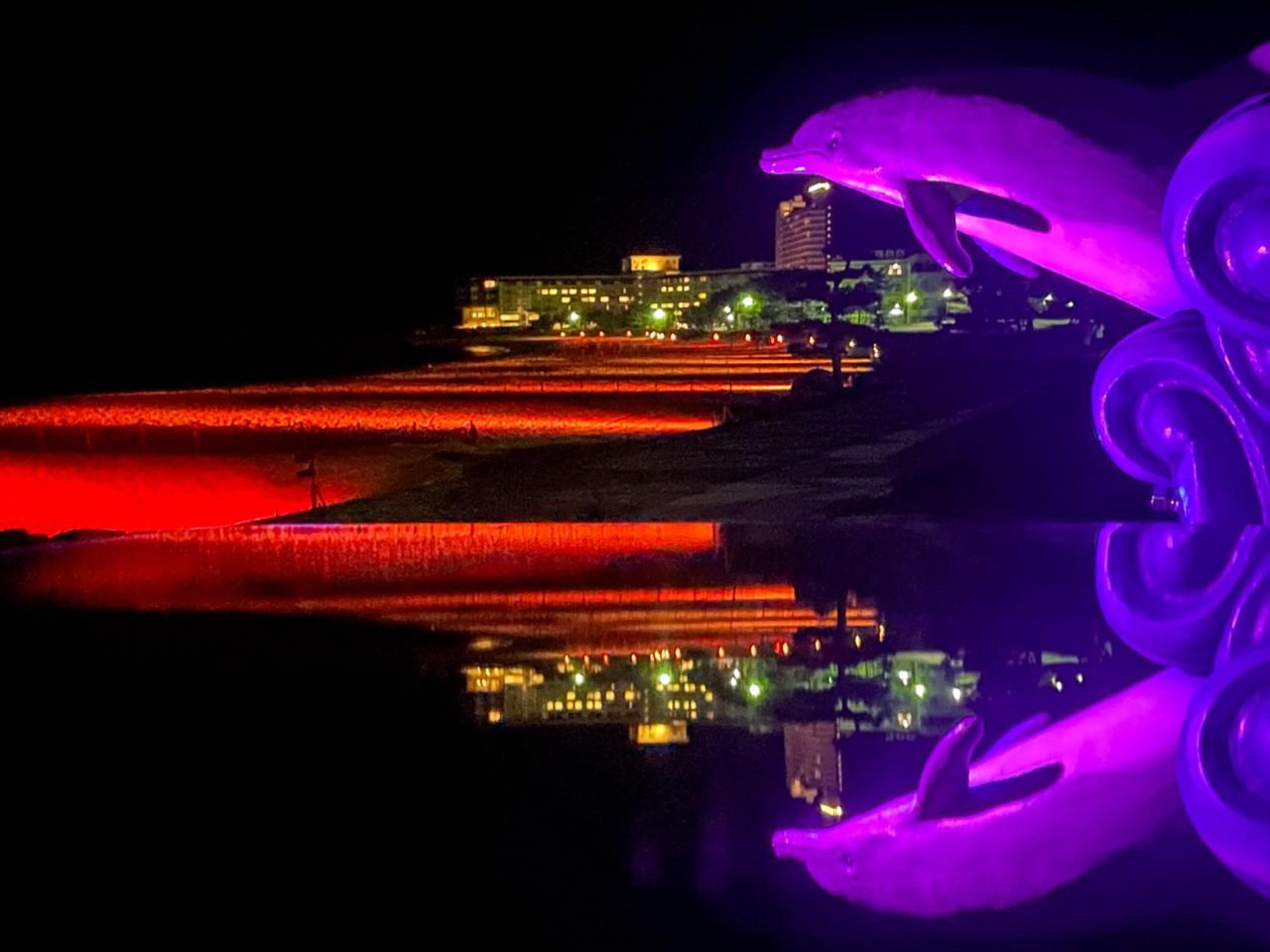 画像: ライトアップの様子。右に写っているのは「イルカのシャワー」