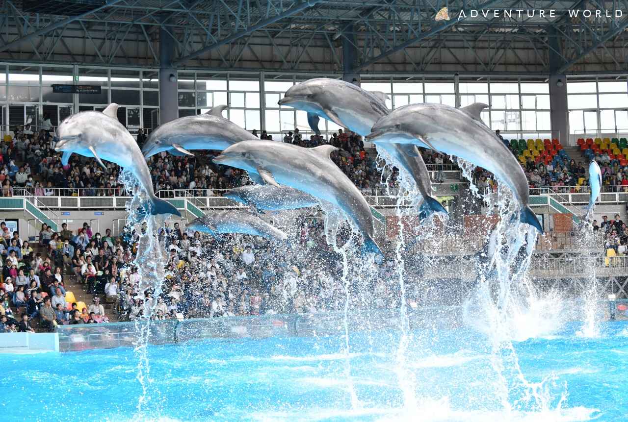 画像1: 「アドベンチャーワールド」で陸、海、空の動物たちに出合う