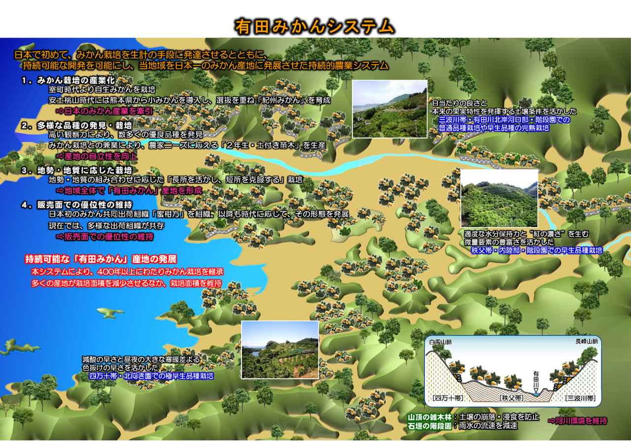 画像: 有田みかん地域農業遺産推進協議会から引用