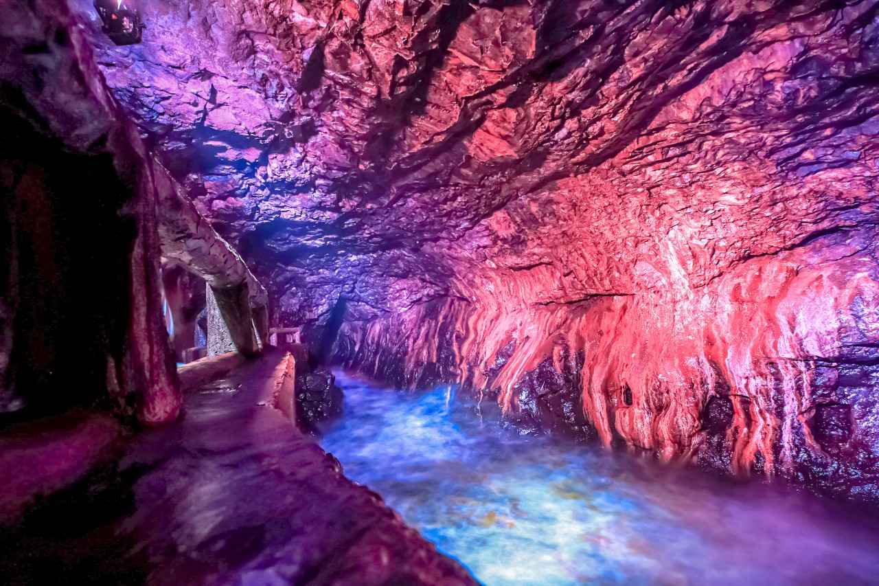 画像: 時期によってはライトアップイベントもある