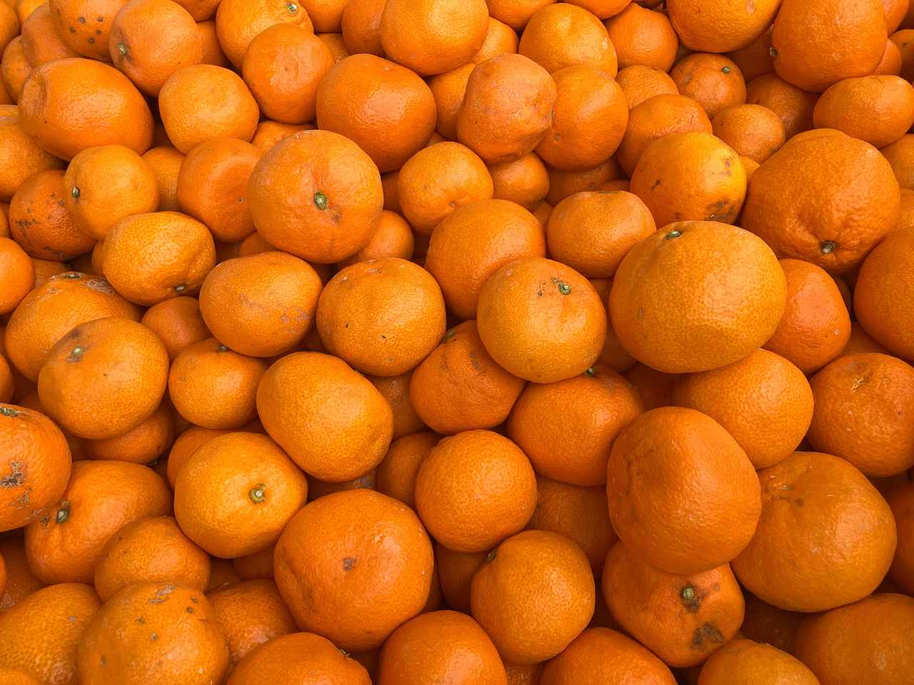 画像: キズや大きさ違いによる規格外品みかん