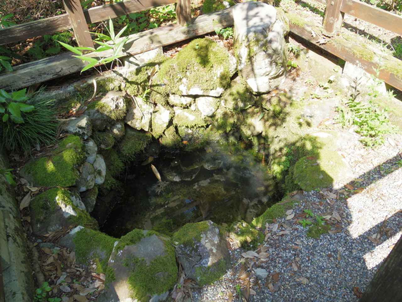 画像18: 「見渡す限り木彫刻のまち・日本遺産井波」で出会う匠の技と歴史 ─ 木彫刻美術館の伝統文化─