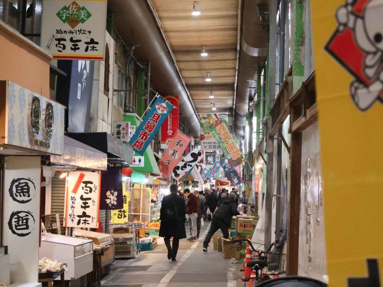 画像2: 2026年1月撮影