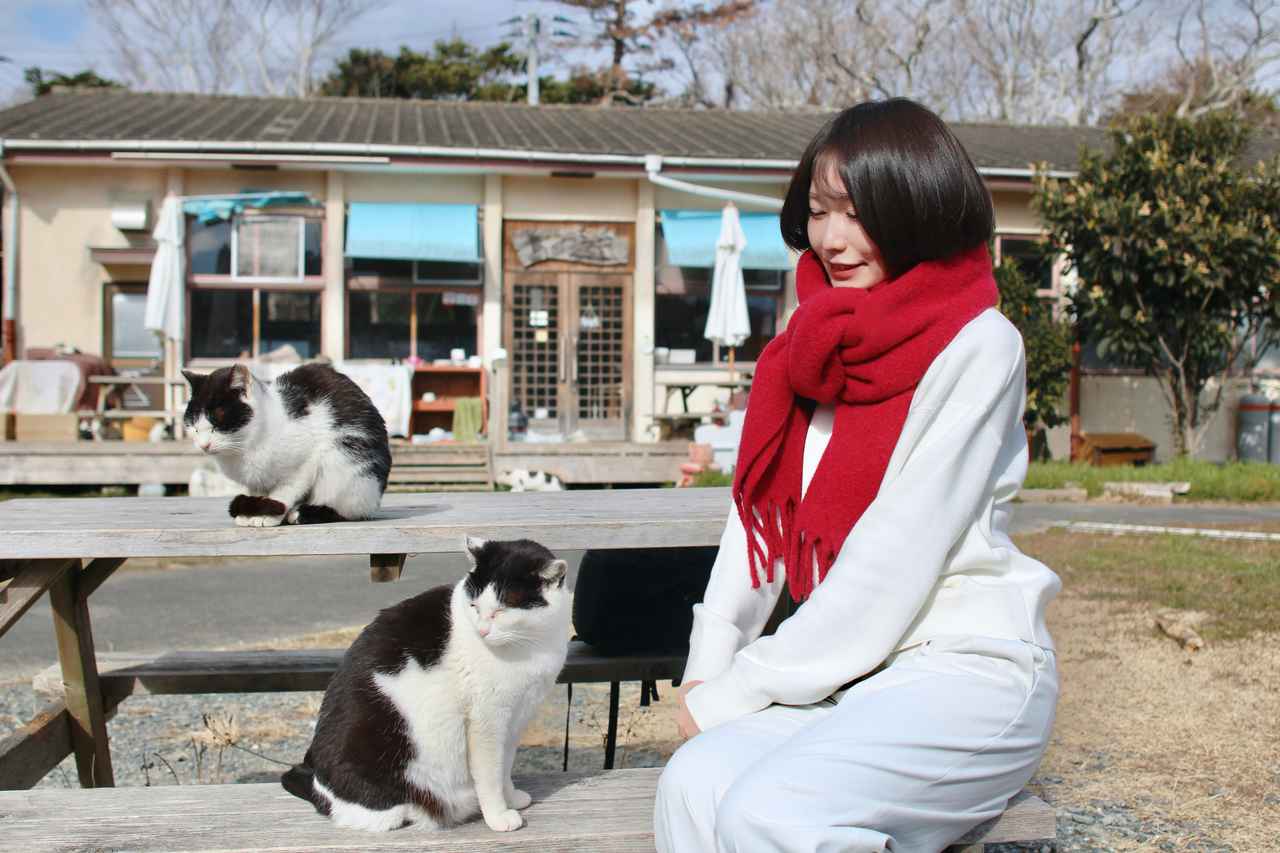 画像3: 3.11から15年。石巻出身JAL客室乗務員が案内する、美しい港町の「いま」