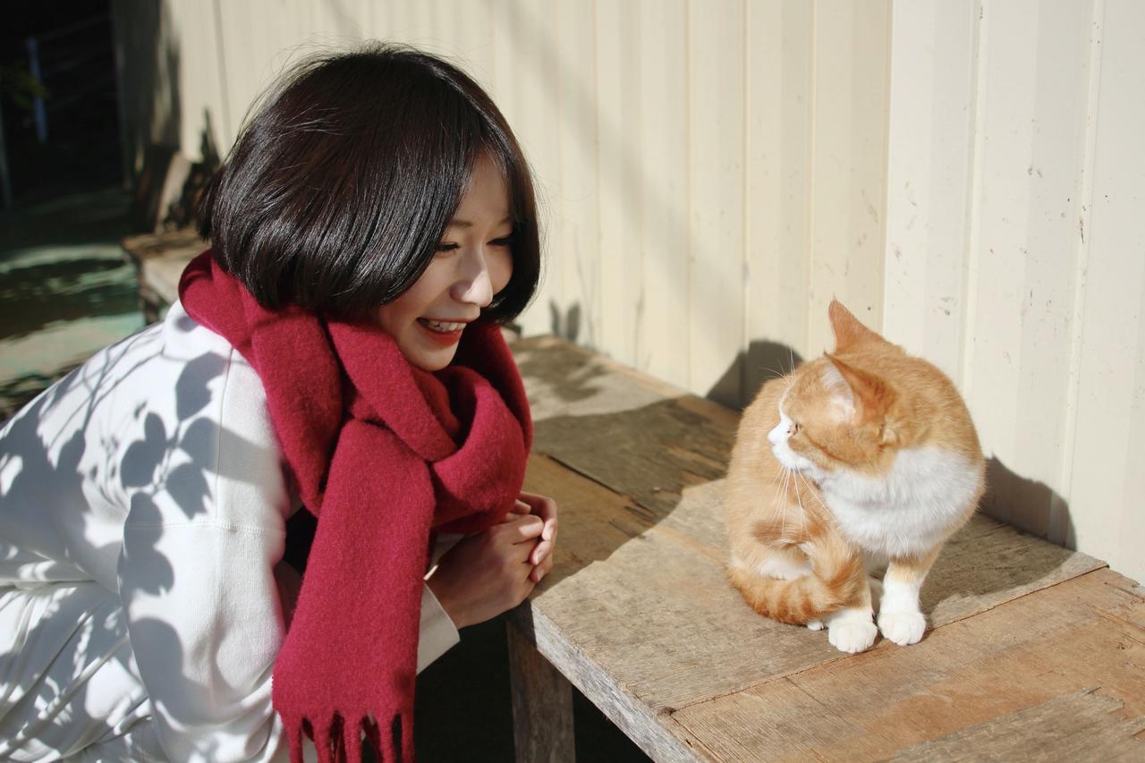 画像2: 田代島 －自由気ままな猫たちの楽園