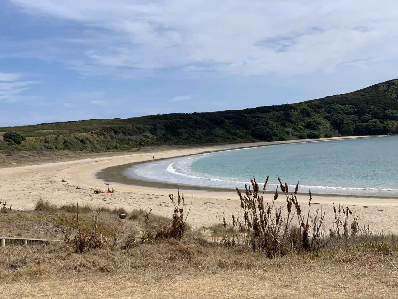 画像: 星空を眺めた浜辺